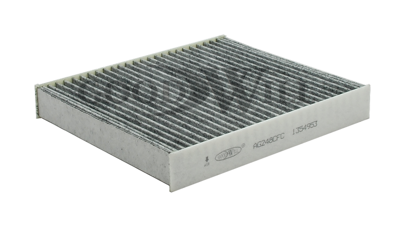 AG248CFC Goodwill Фильтр салона (Ford Focus2) угольный  Goodwill AG248CFC (Корея) ан 1354953